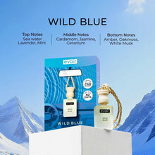 Ambientador de auto Evair con aroma