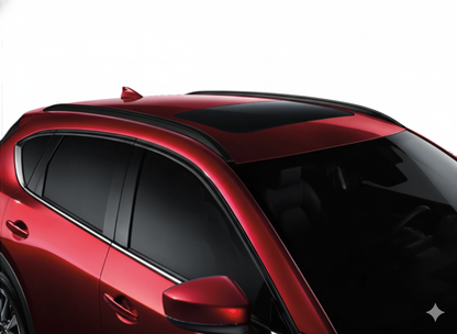 Barras trasnversales + rieles CX-5